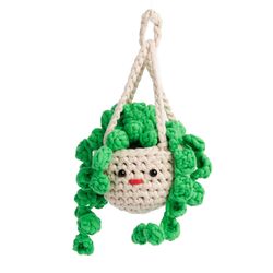 Hanging Plant