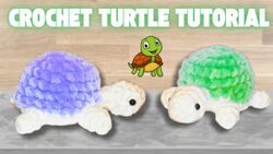 Crochet Small Turtle