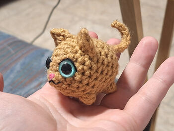 Little Round Cat
