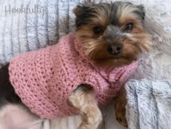 Minnie’s Turtleneck Dog Sweater