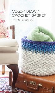 Color Block Basket