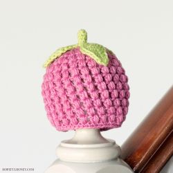 Newborn Raspberry Hat