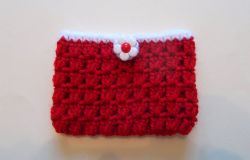 Gift Card Purse