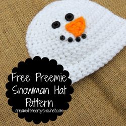 Preemie Snowman Hat