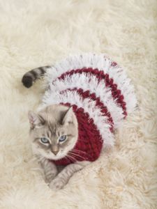 Holiday Pet Sweater