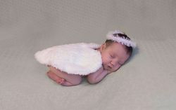 Newborn Angel Wings and Halo Photo Prop