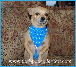 Beaded Dog Bandanna