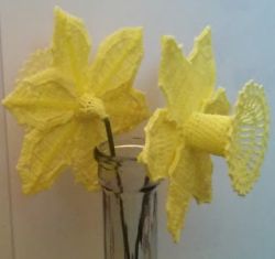 Daffodil 3D