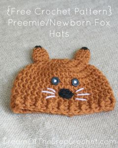 Preemie/Newborn Fox Hats