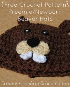 Preemie/Newborn Beaver Hats