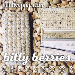 Bitty Berries Checkbook